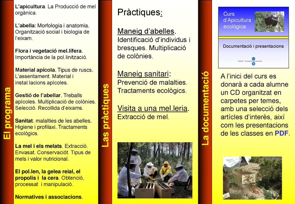 El programa Las pràctiques. La documentació. L’apicultura. La Producció de mel orgànica.