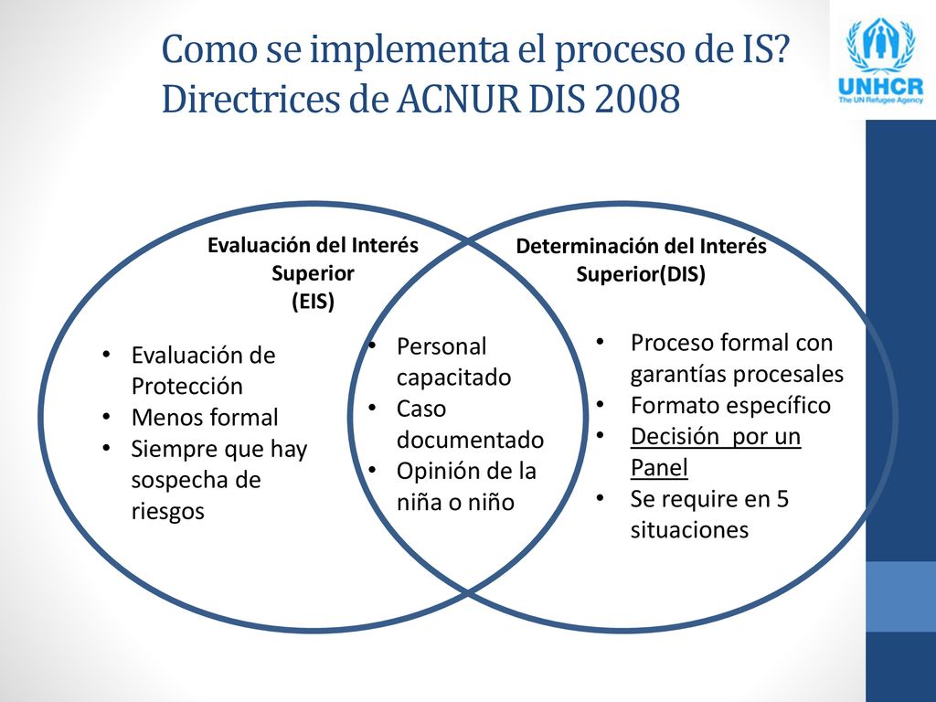Como se implementa el proceso de IS Directrices de ACNUR DIS 2008