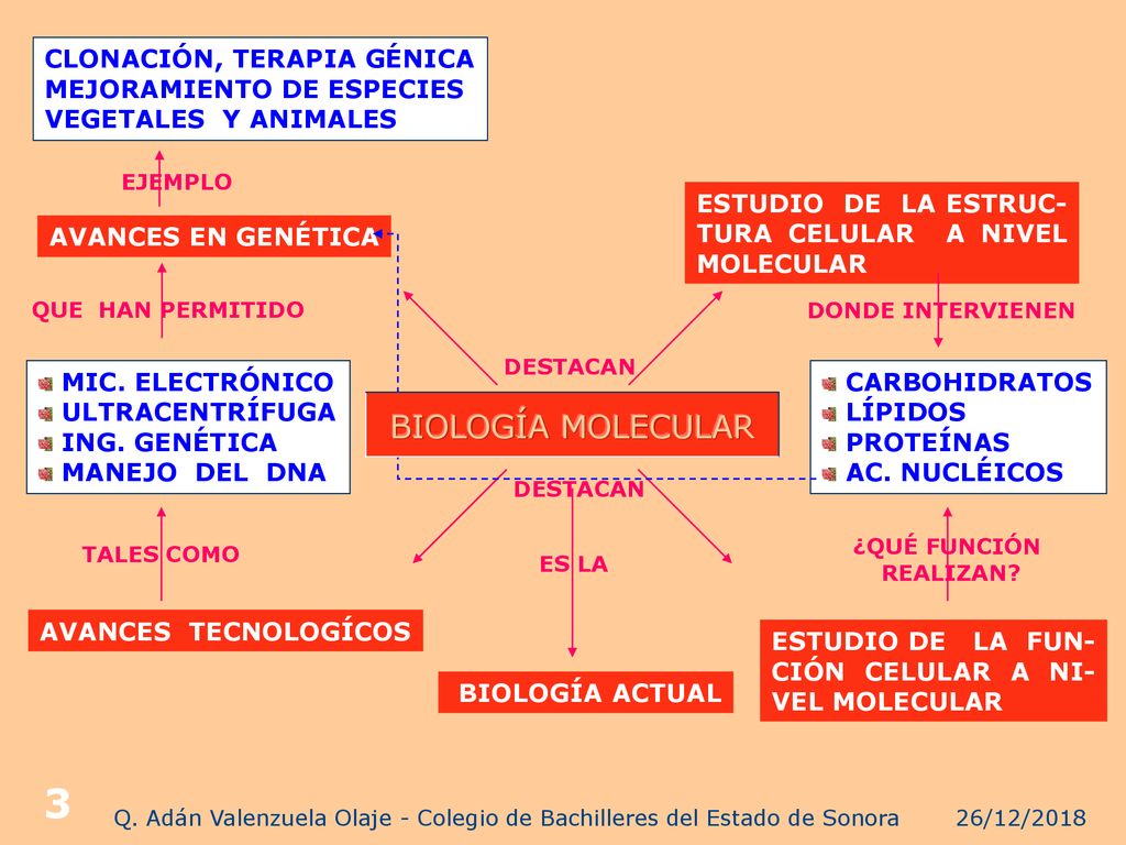 Q. Adán Valenzuela Olaje - Colegio de Bachilleres del Estado de Sonora