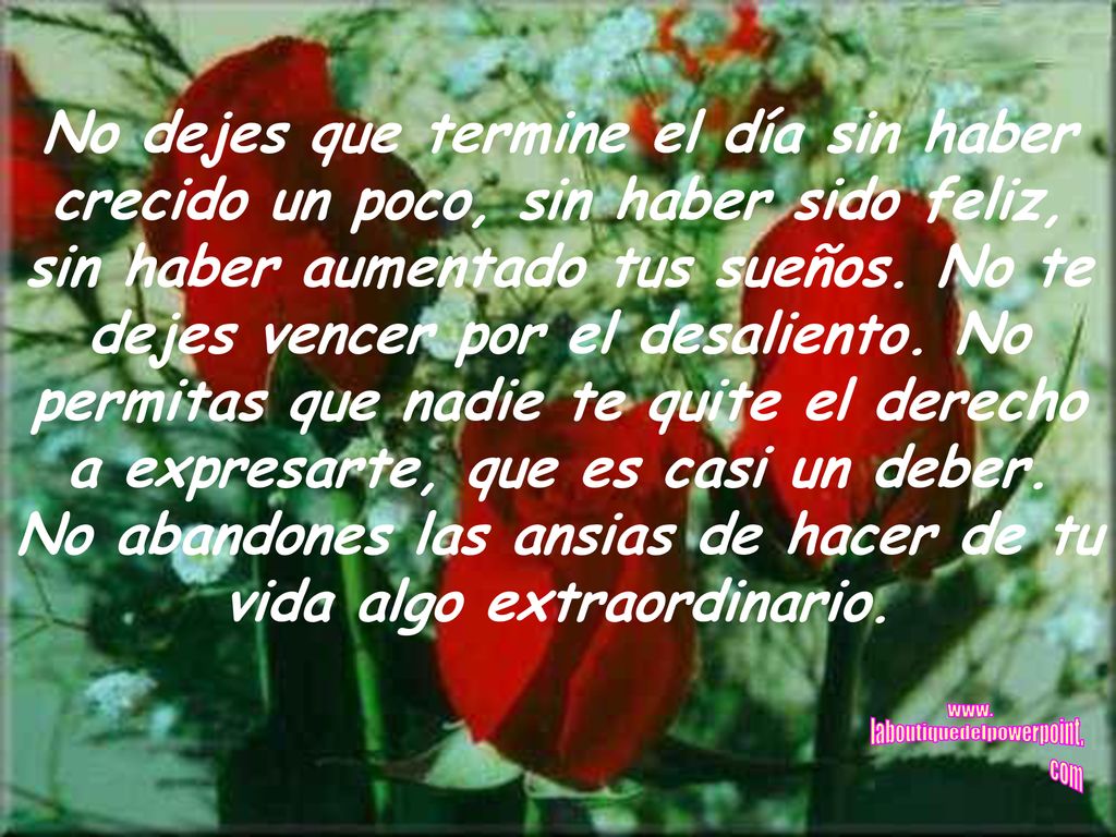 No abandones las ansias de hacer de tu vida algo extraordinario.