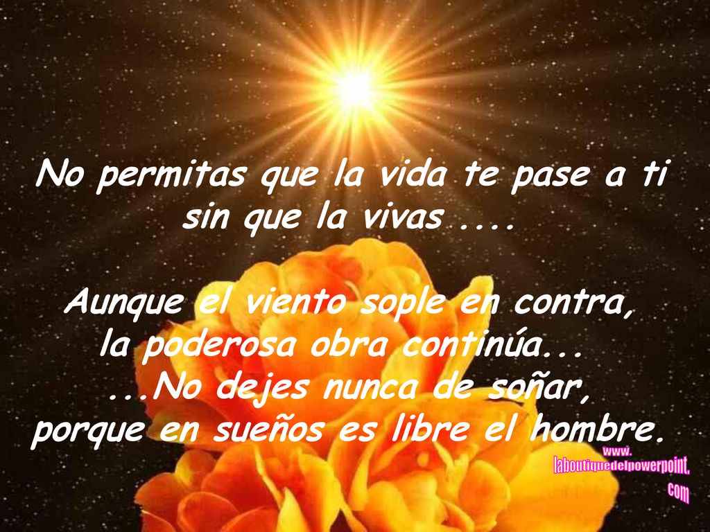 No permitas que la vida te pase a ti sin que la vivas ....
