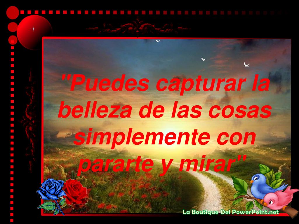 Puedes capturar la belleza de las cosas simplemente con pararte y mirar