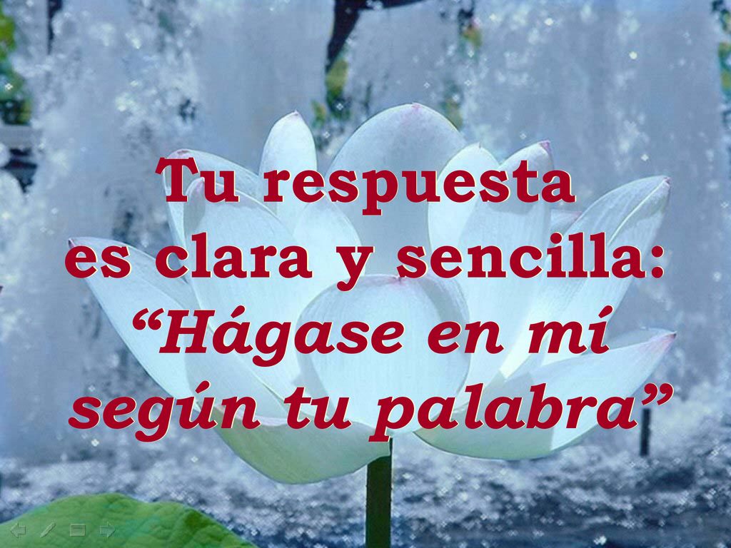 Tu respuesta es clara y sencilla: Hágase en mí según tu palabra