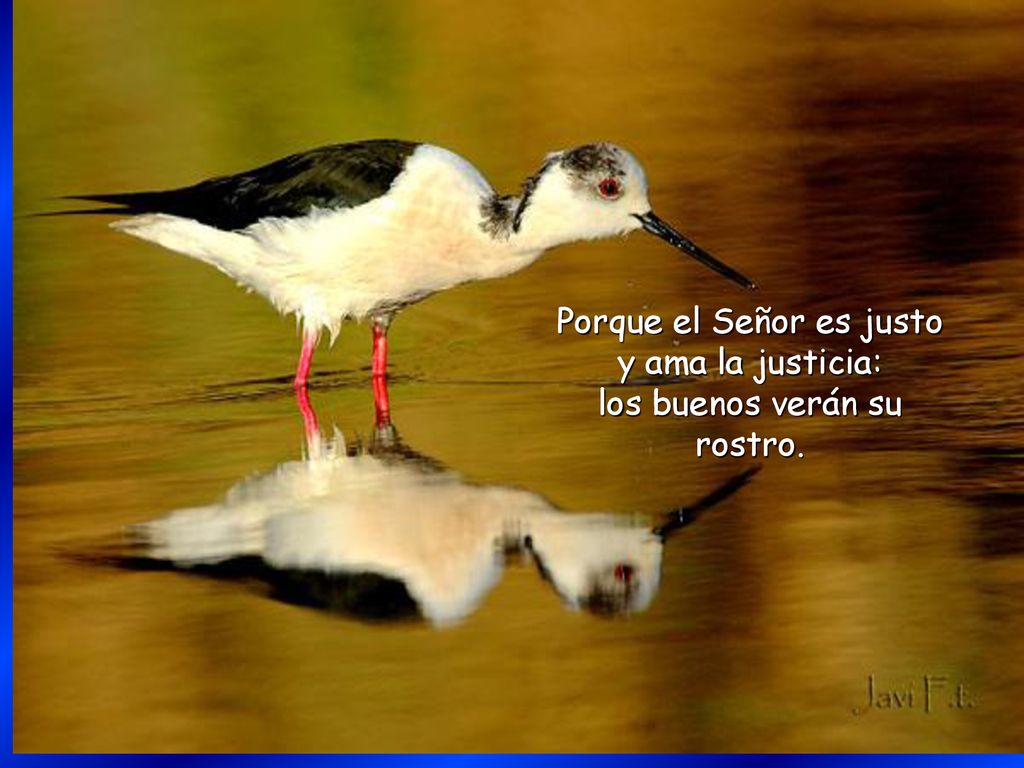 Porque el Señor es justo y ama la justicia: