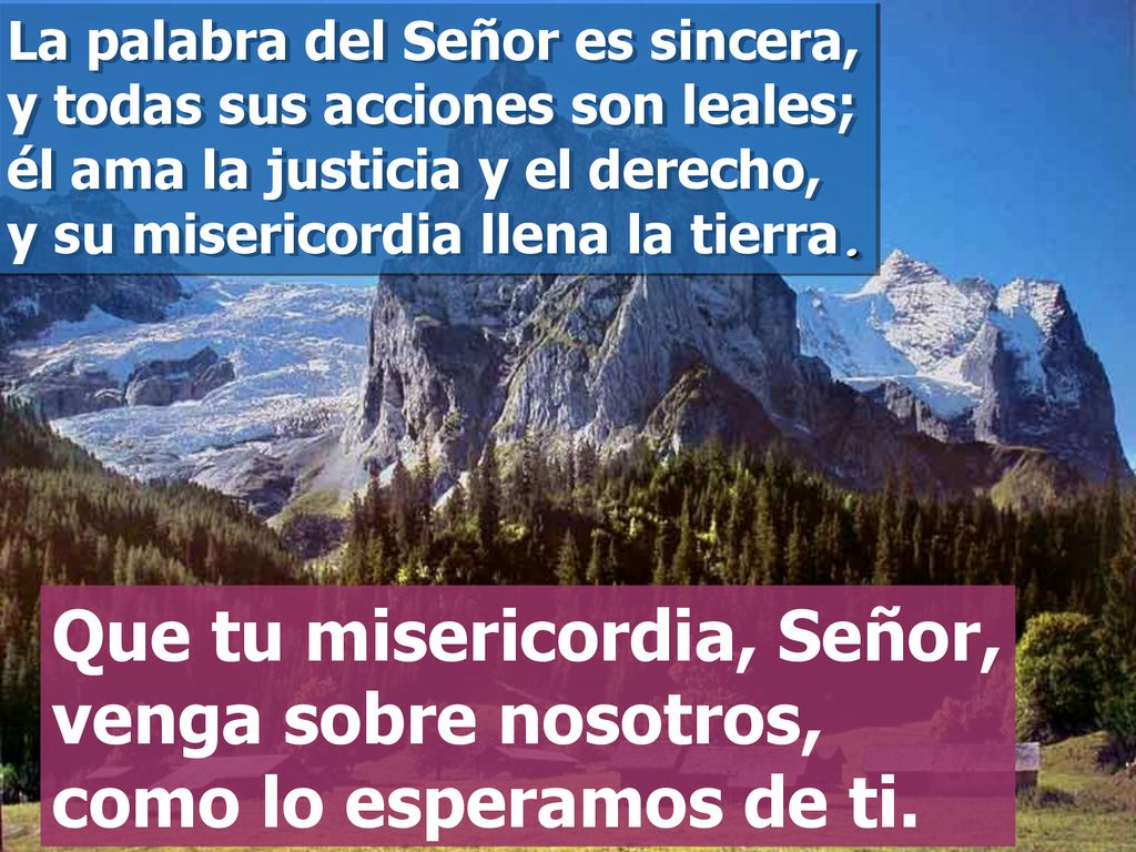 La palabra del Señor es sincera, y todas sus acciones son leales; él ama la justicia y el derecho, y su misericordia llena la tierra.