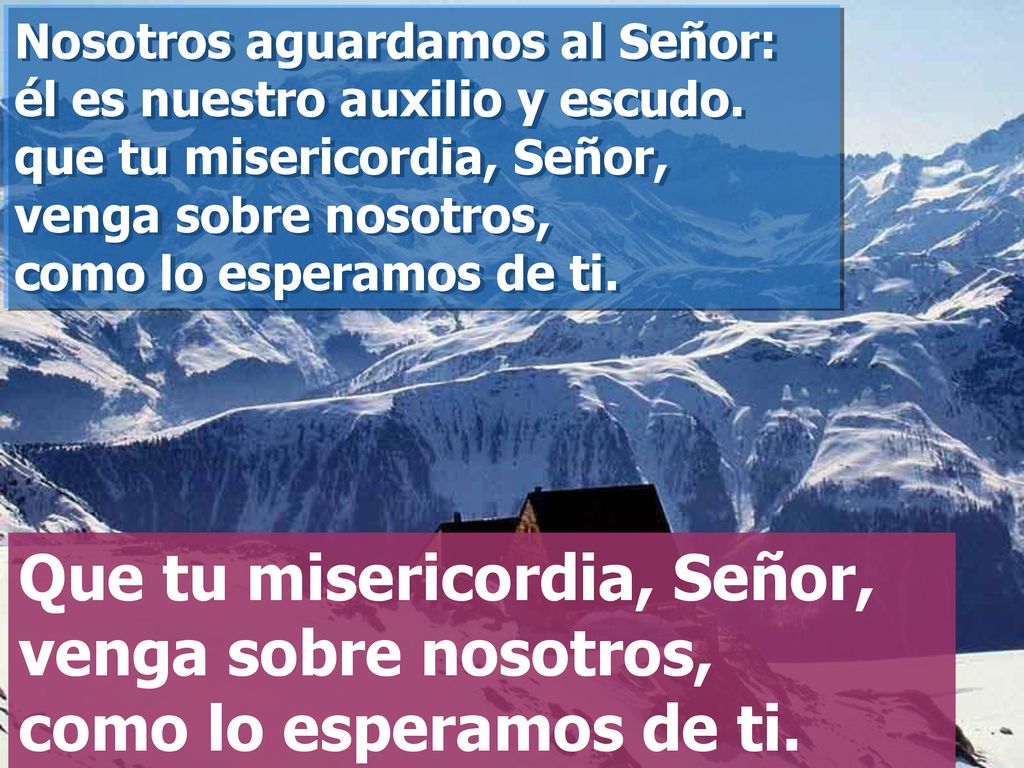 Nosotros aguardamos al Señor: él es nuestro auxilio y escudo
