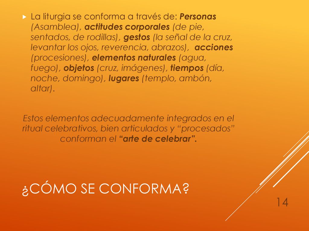La liturgia se conforma a través de: Personas (Asamblea), actitudes corporales (de pie, sentados, de rodillas), gestos (la señal de la cruz, levantar los ojos, reverencia, abrazos), acciones (procesiones), elementos naturales (agua, fuego), objetos (cruz, imágenes), tiempos (día, noche, domingo), lugares (templo, ambón, altar).