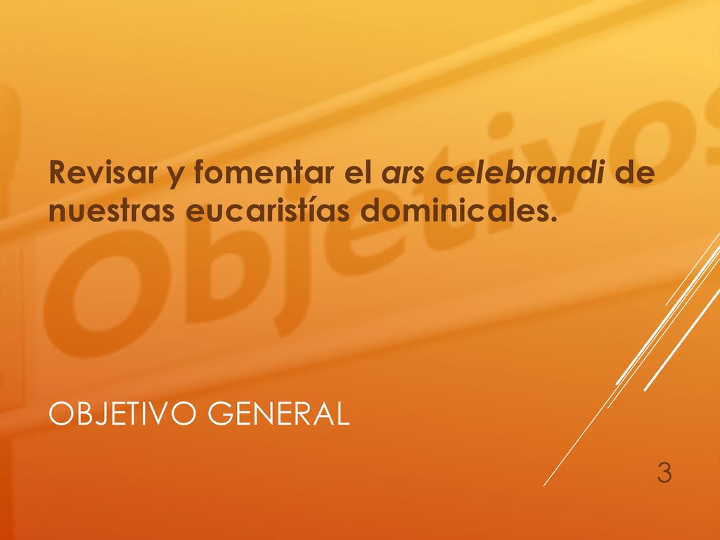 Revisar y fomentar el ars celebrandi de nuestras eucaristías dominicales.