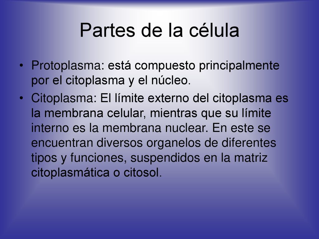Partes de la célula Protoplasma: está compuesto principalmente por el citoplasma y el núcleo.