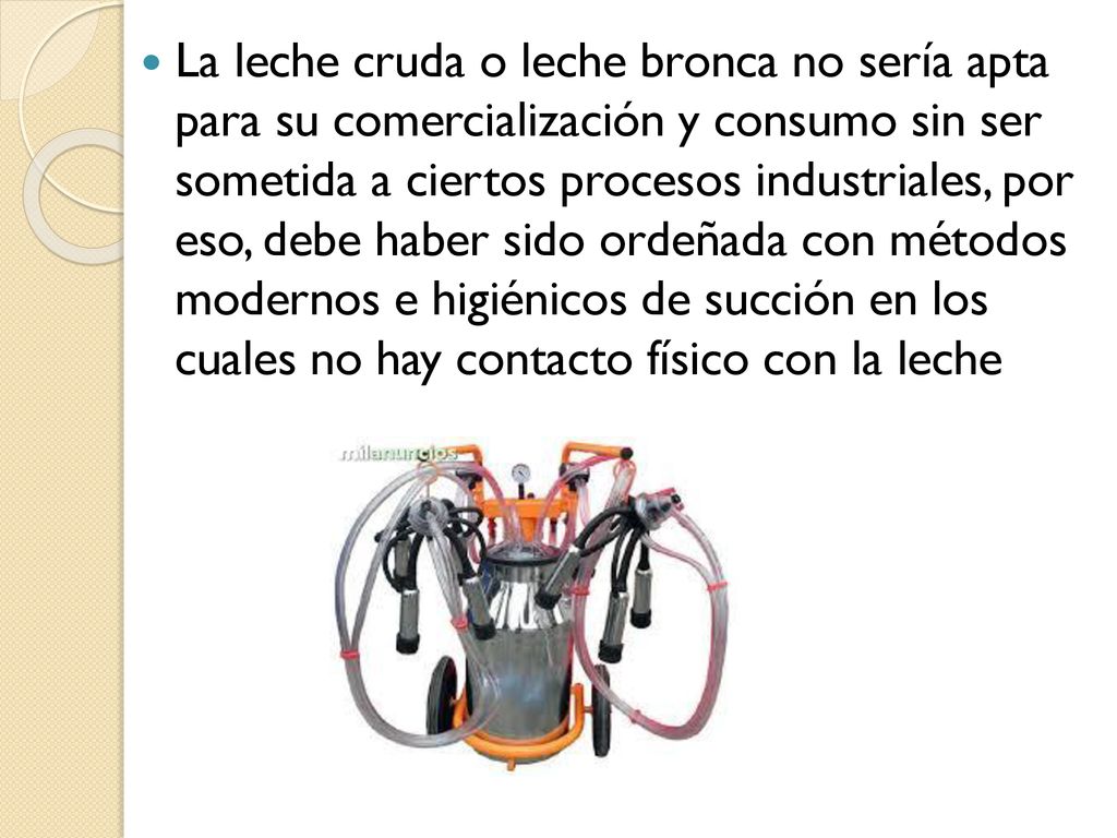 La leche cruda o leche bronca no sería apta para su comercialización y consumo sin ser sometida a ciertos procesos industriales, por eso, debe haber sido ordeñada con métodos modernos e higiénicos de succión en los cuales no hay contacto físico con la leche