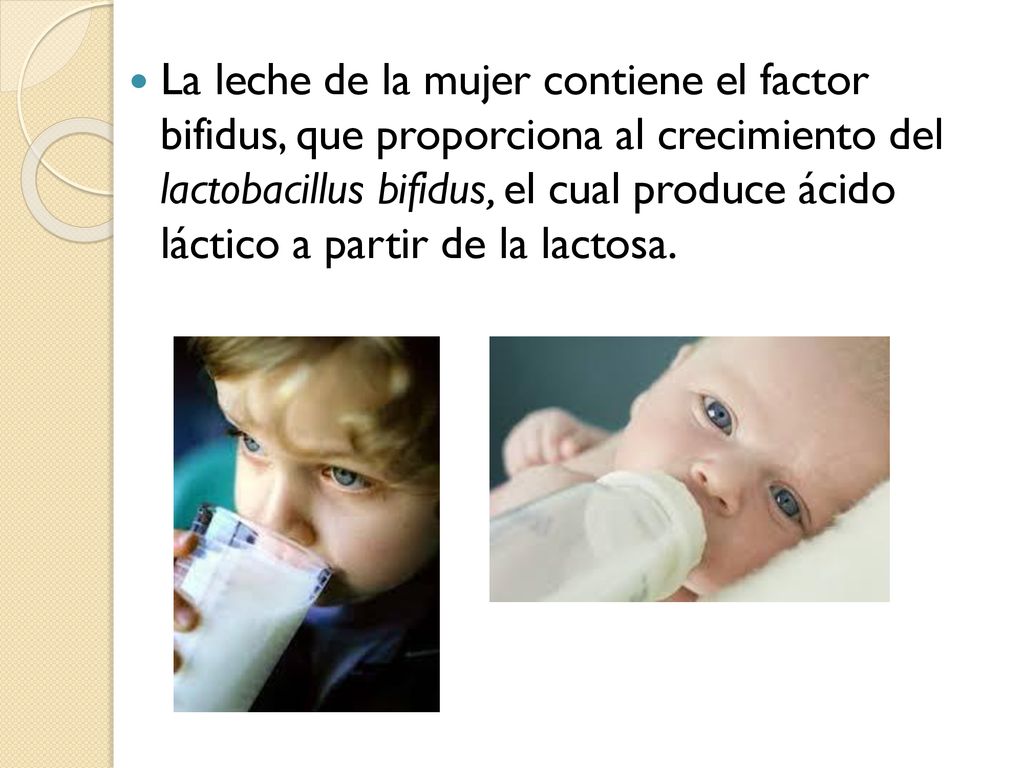 La leche de la mujer contiene el factor bifidus, que proporciona al crecimiento del lactobacillus bifidus, el cual produce ácido láctico a partir de la lactosa.