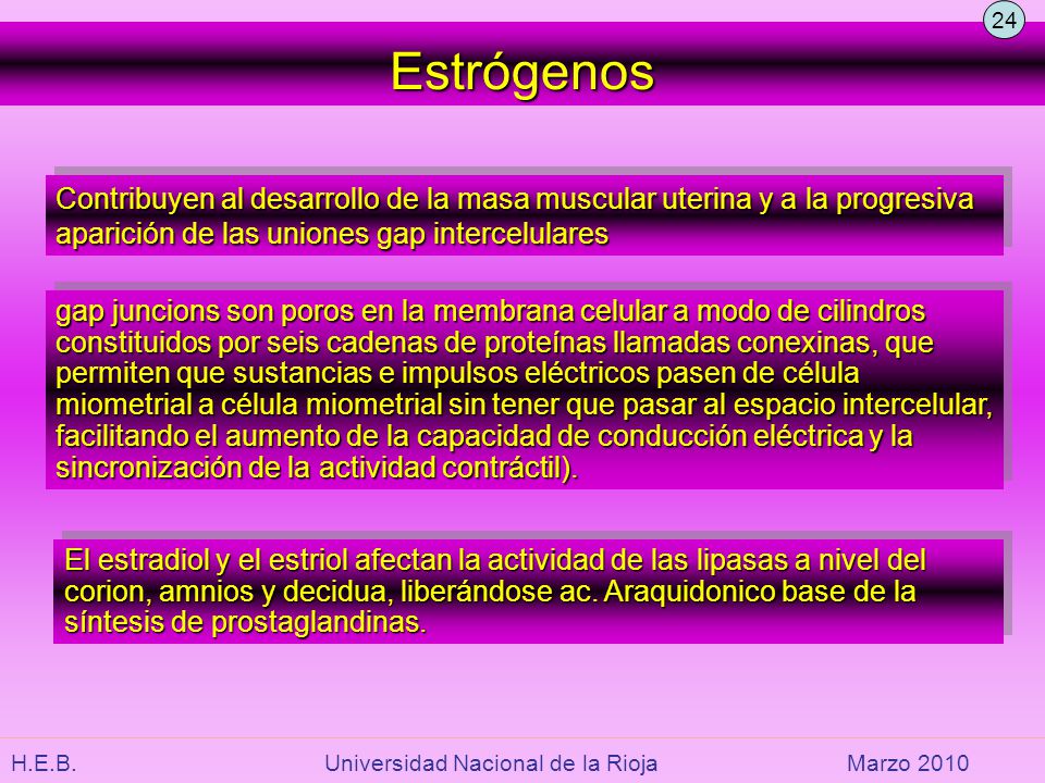24 Estrógenos. Contribuyen al desarrollo de la masa muscular uterina y a la progresiva aparición de las uniones gap intercelulares.