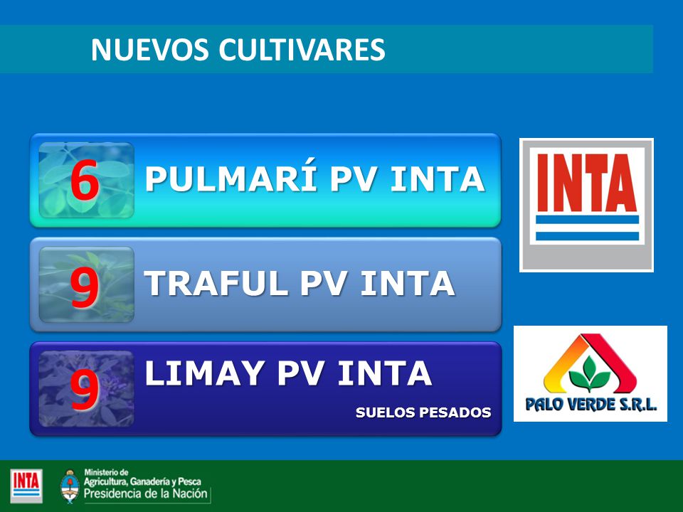 6 9 9 LIMAY PV INTA NUEVOS CULTIVARES SUELOS PESADOS PULMARÍ PV INTA