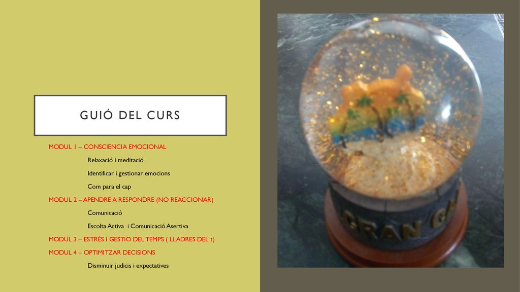 GUIÓ DEL CURS MODUL 1 – CONSCIENCIA EMOCIONAL Relaxació i meditació