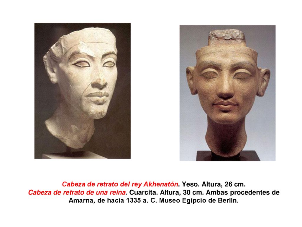 Cabeza de retrato del rey Akhenatón. Yeso. Altura, 26 cm