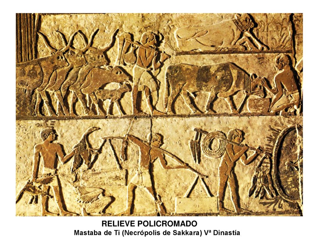 RELIEVE POLICROMADO Mastaba de Ti (Necrópolis de Sakkara) Vª Dinastía