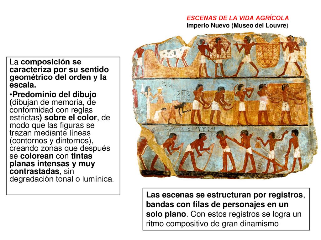 ESCENAS DE LA VIDA AGRÍCOLA Imperio Nuevo (Museo del Louvre)