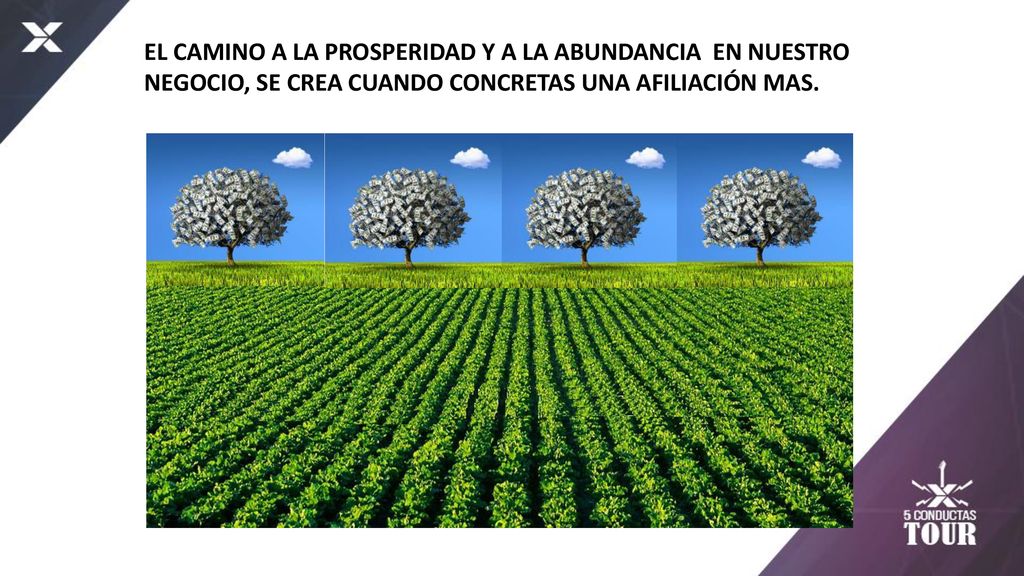 EL CAMINO A LA PROSPERIDAD Y A LA ABUNDANCIA EN NUESTRO NEGOCIO, SE CREA CUANDO CONCRETAS UNA AFILIACIÓN MAS.