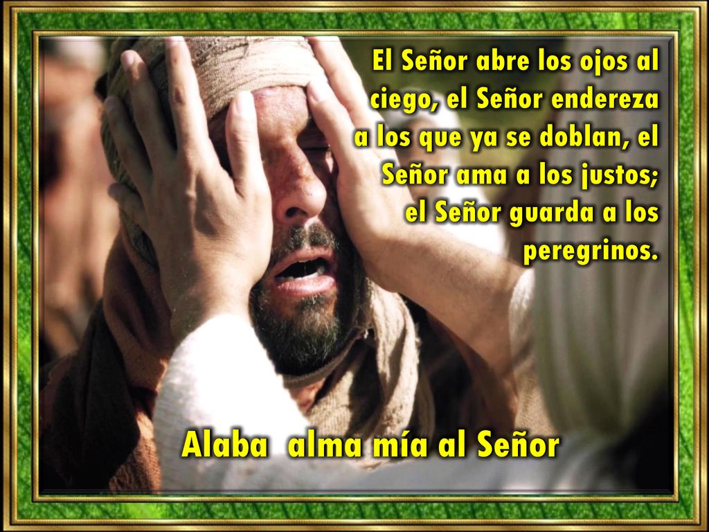 El Señor abre los ojos al ciego, el Señor endereza a los que ya se doblan, el Señor ama a los justos; el Señor guarda a los peregrinos.