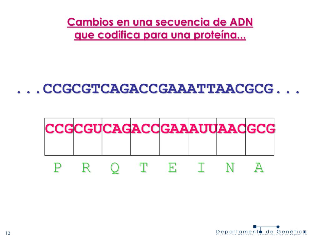 Cambios en una secuencia de ADN que codifica para una proteína...