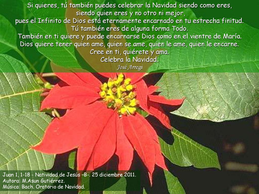 Si quieres, tú también puedes celebrar la Navidad siendo como eres, siendo quien eres y no otro ni mejor, pues el Infinito de Dios está eternamente encarnado en tu estrecha finitud. Tú también eres de alguna forma Todo. También en ti quiere y puede encarnarse Dios como en el vientre de María. Dios quiere tener quien ame, quien se ame, quien le ame, quien le encarne. Cree en ti, quiérete y ama. Celebra la Navidad.