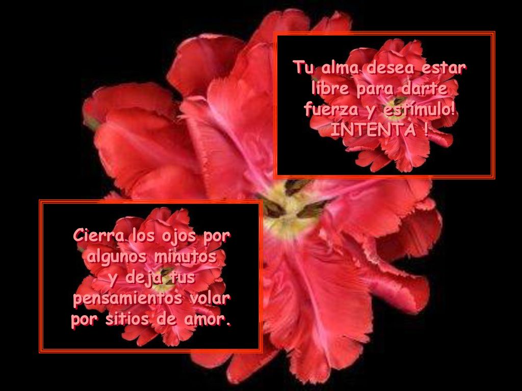 Tu alma desea estar libre para darte fuerza y estímulo! INTENTA !