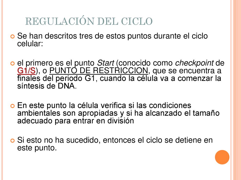 REGULACIÓN DEL CICLO Se han descritos tres de estos puntos durante el ciclo celular: