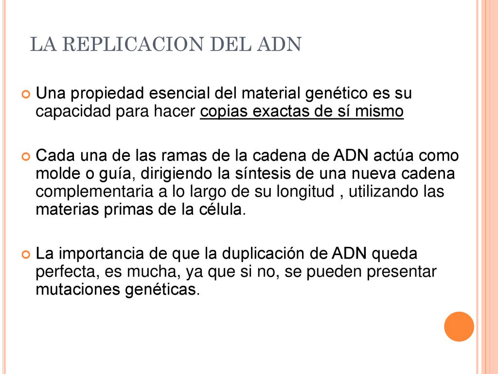 LA REPLICACION DEL ADN Una propiedad esencial del material genético es su capacidad para hacer copias exactas de sí mismo.