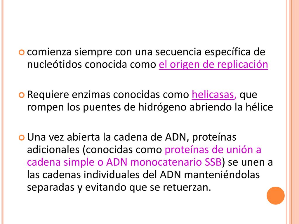 comienza siempre con una secuencia específica de nucleótidos conocida como el origen de replicación