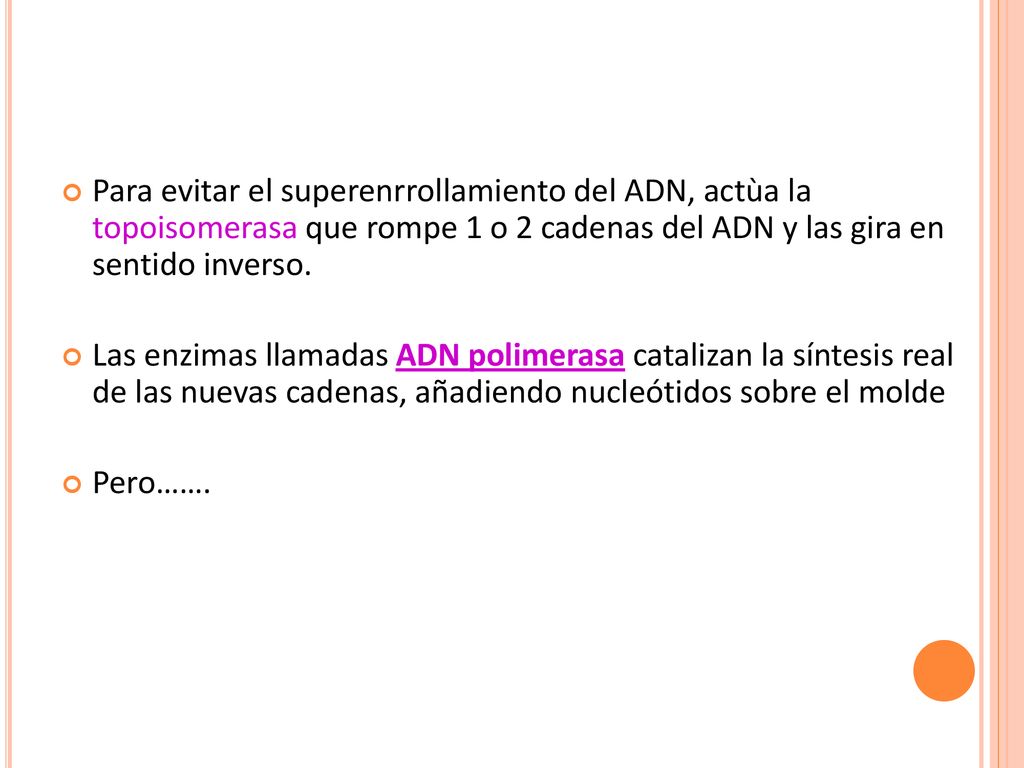 Para evitar el superenrrollamiento del ADN, actùa la topoisomerasa que rompe 1 o 2 cadenas del ADN y las gira en sentido inverso.