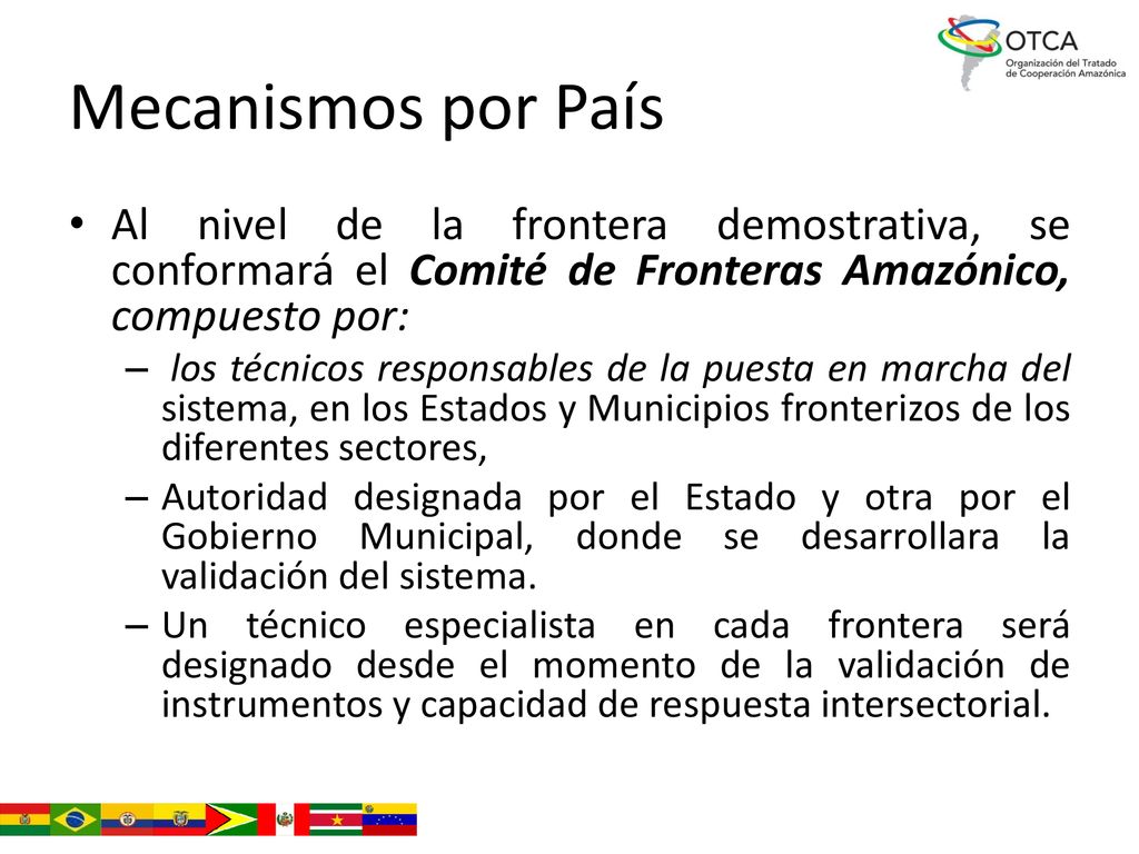 Mecanismos por País Al nivel de la frontera demostrativa, se conformará el Comité de Fronteras Amazónico, compuesto por: