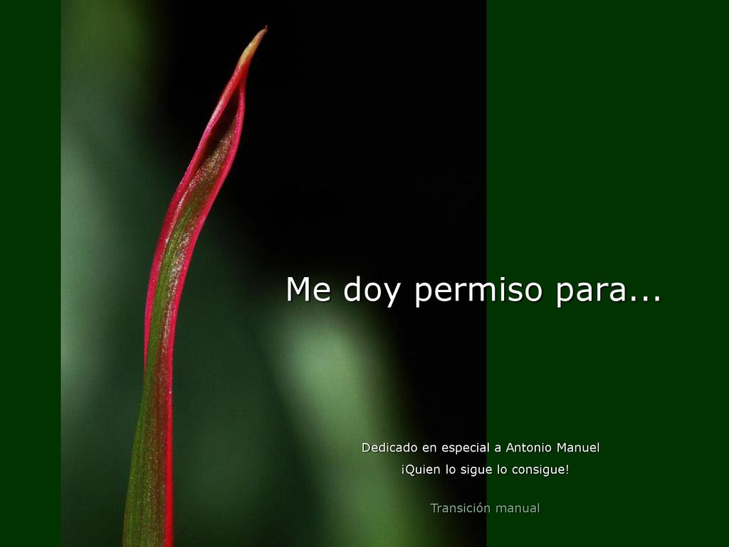 Me doy permiso para... Dedicado en especial a Antonio Manuel