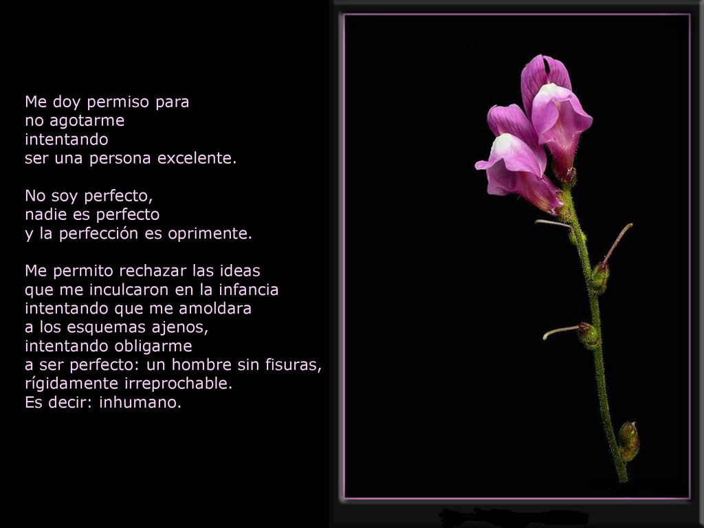Me doy permiso para no agotarme. intentando. ser una persona excelente. No soy perfecto, nadie es perfecto.
