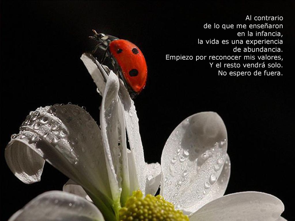 Al contrario de lo que me enseñaron. en la infancia, la vida es una experiencia. de abundancia. Empiezo por reconocer mis valores,
