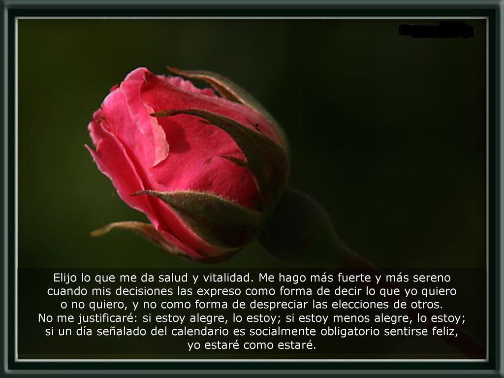 Elijo lo que me da salud y vitalidad. Me hago más fuerte y más sereno