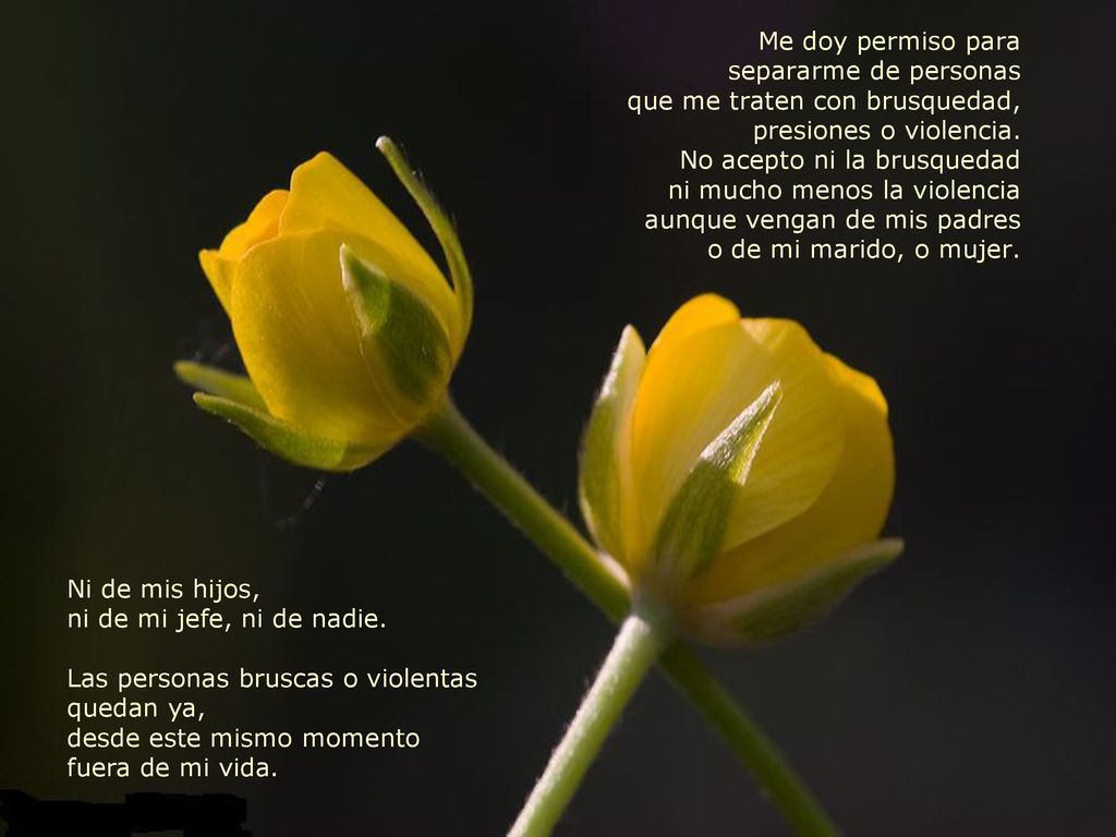 Me doy permiso para separarme de personas que me traten con brusquedad, presiones o violencia. No acepto ni la brusquedad ni mucho menos la violencia aunque vengan de mis padres o de mi marido, o mujer.