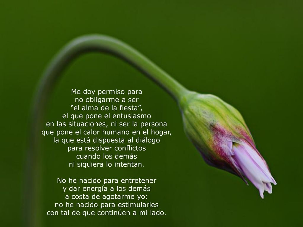 el que pone el entusiasmo en las situaciones, ni ser la persona