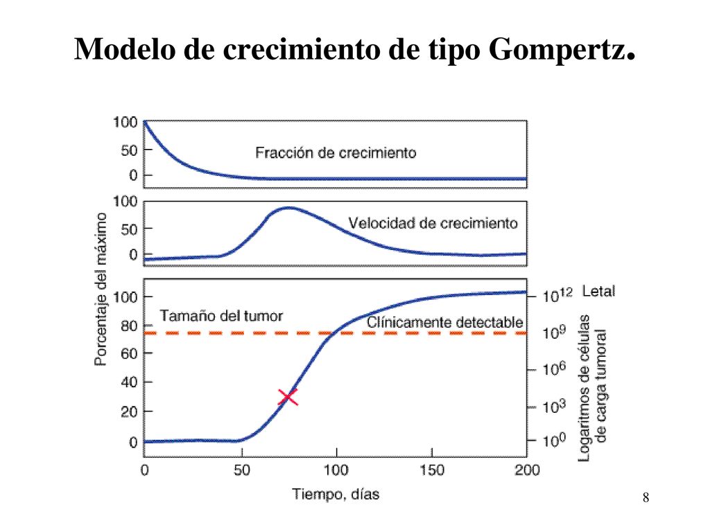 Modelo de crecimiento de tipo Gompertz.