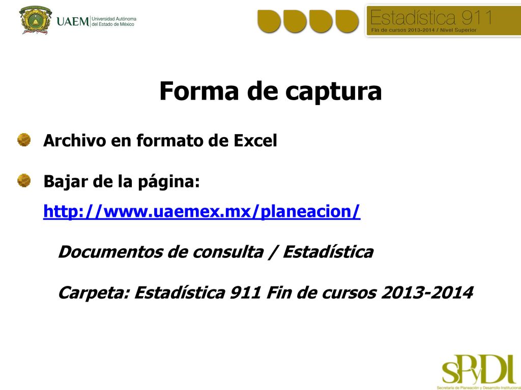 Forma de captura Archivo en formato de Excel