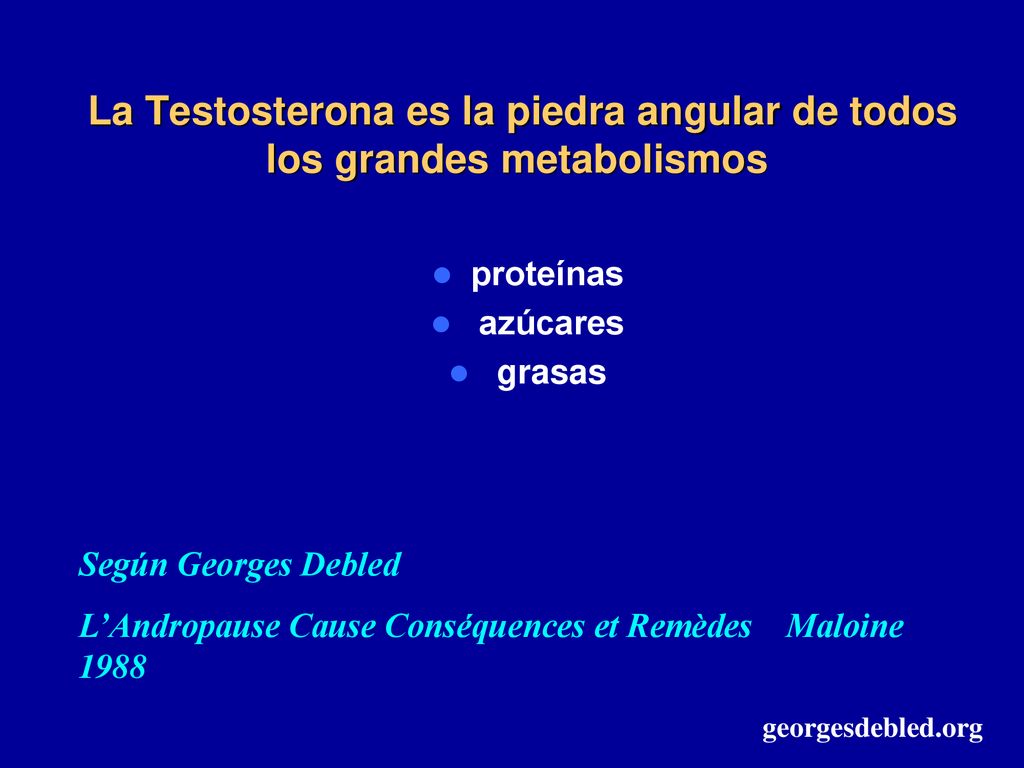 La Testosterona es la piedra angular de todos los grandes metabolismos