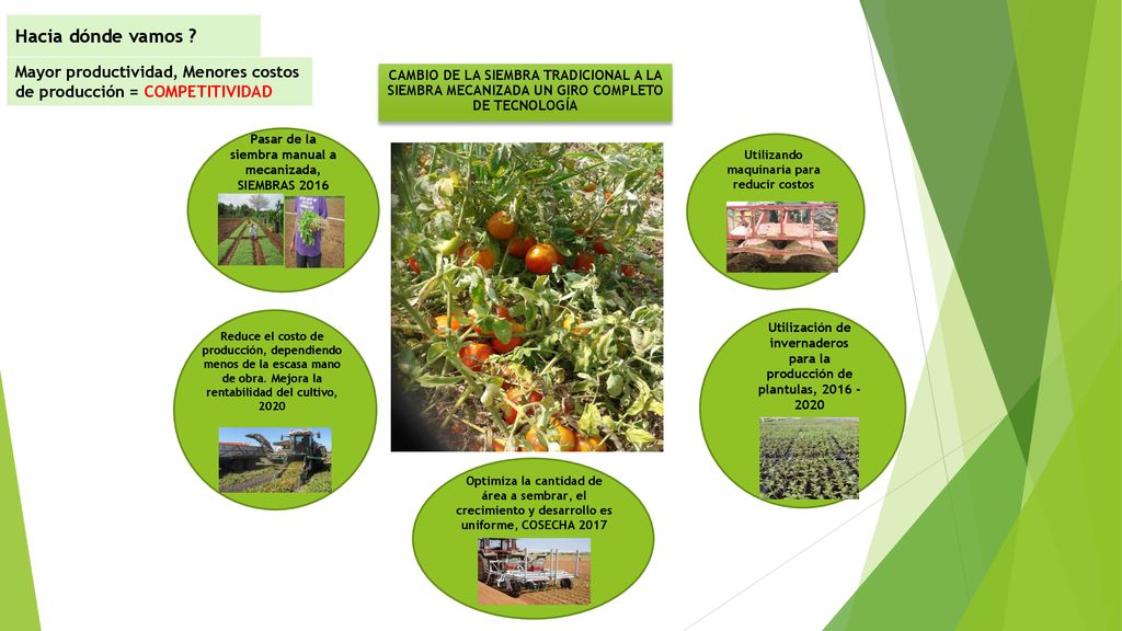 Hacia dónde vamos Mayor productividad, Menores costos de producción = COMPETITIVIDAD.