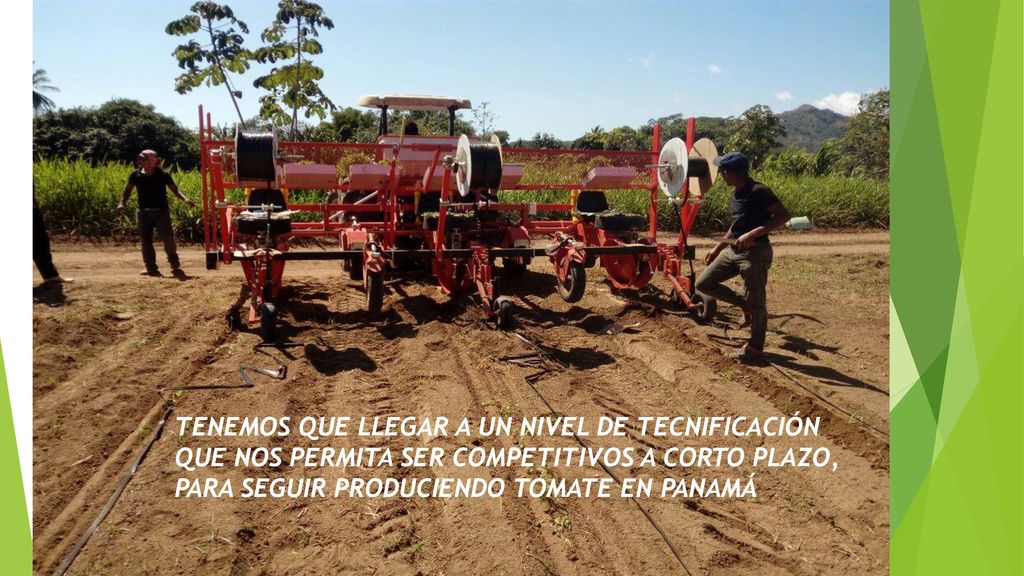 TENEMOS QUE LLEGAR A UN NIVEL DE TECNIFICACIÓN QUE NOS PERMITA SER COMPETITIVOS A CORTO PLAZO, PARA SEGUIR PRODUCIENDO TOMATE EN PANAMÁ