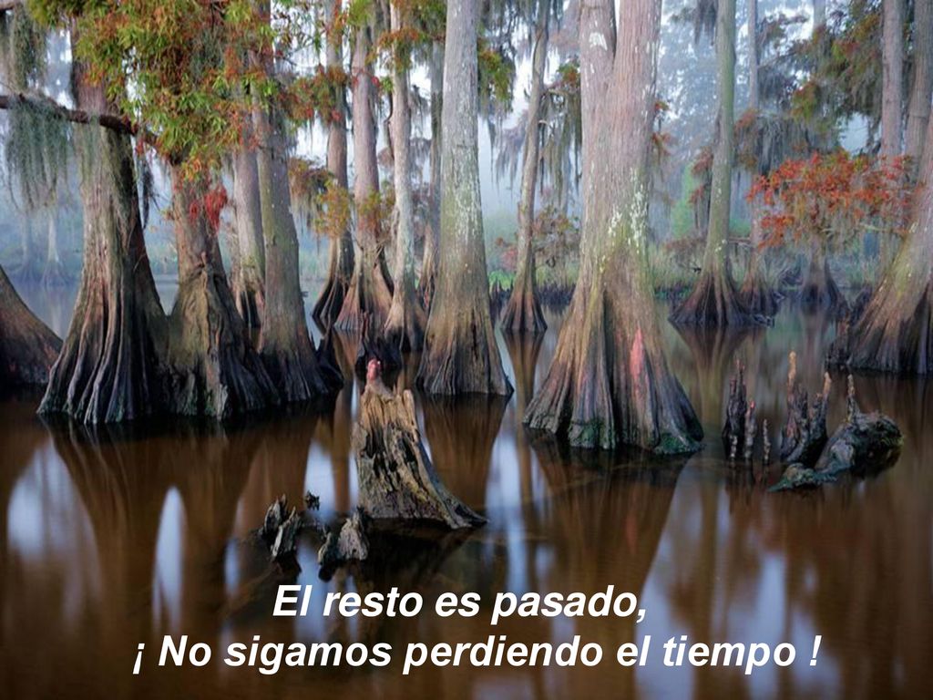 El resto es pasado, ¡ No sigamos perdiendo el tiempo !