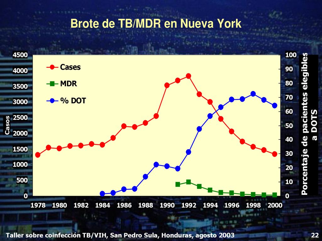 Taller sobre coinfección TB/VIH, San Pedro Sula, Honduras, agosto 2003