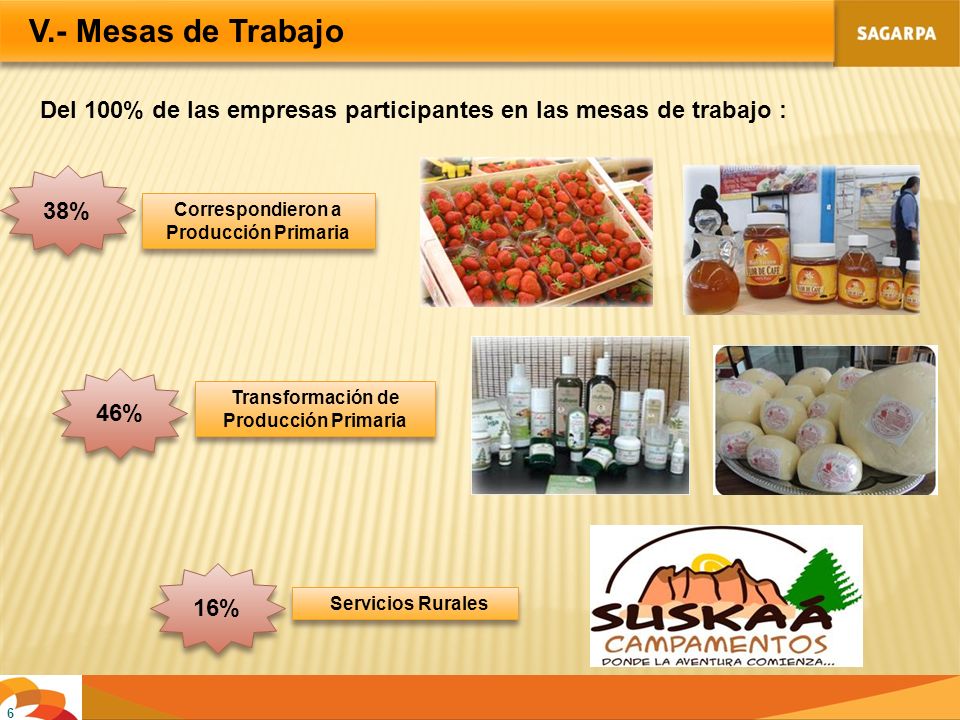 V.- Mesas de Trabajo Del 100% de las empresas participantes en las mesas de trabajo : 38% Correspondieron a Producción Primaria.