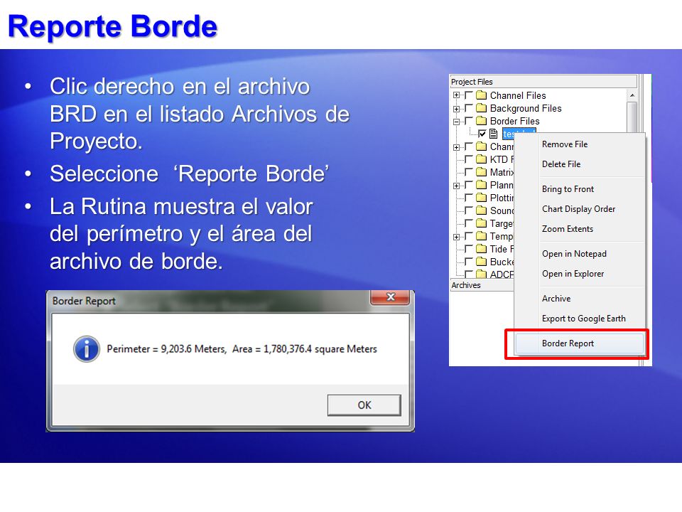 Reporte Borde Clic derecho en el archivo BRD en el listado Archivos de Proyecto. Seleccione ‘Reporte Borde’