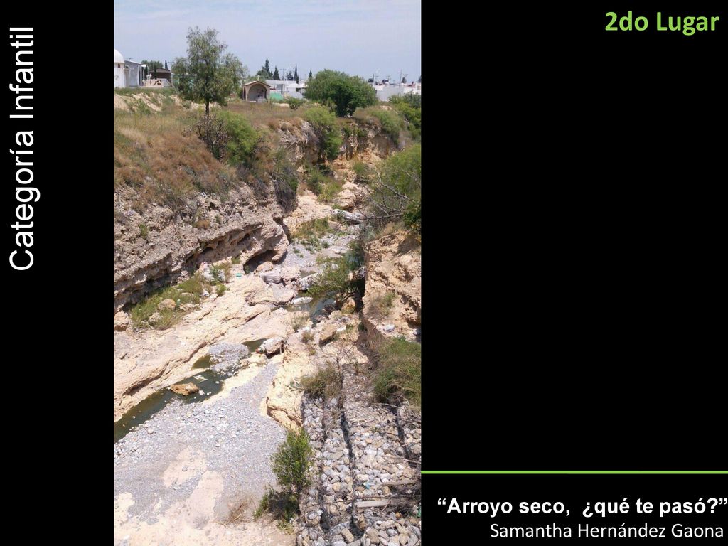 Categoría Infantil 2do Lugar Arroyo seco, ¿qué te pasó