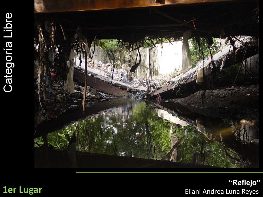 Categoría Libre Reflejo Eliani Andrea Luna Reyes 1er Lugar