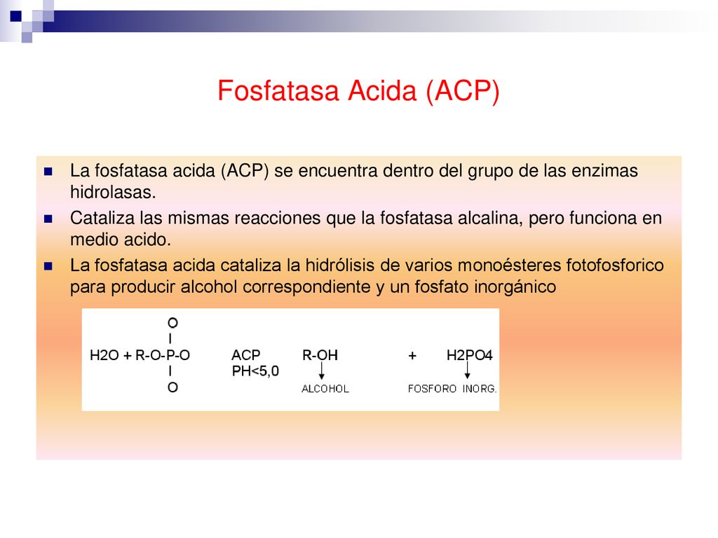 Fosfatasa Acida (ACP) La fosfatasa acida (ACP) se encuentra dentro del grupo de las enzimas hidrolasas.
