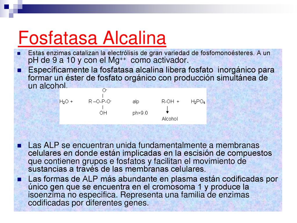 Fosfatasa Alcalina Estas enzimas catalizan la electrólisis de gran variedad de fosfomonoésteres. A un pH de 9 a 10 y con el Mg++ como activador.